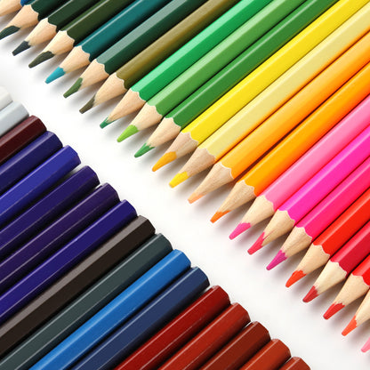 Professional Watercolor Pencils Set, 48 Colored Pencils with Dip Pens,Pencil Extender,Three 2B Pencils,Water Brush pen,Pencil sharpener and Zipper Case